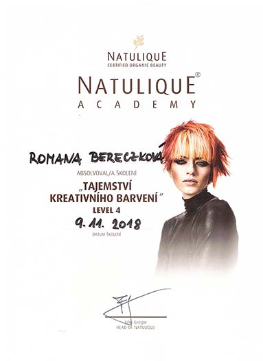 Natulique certifikát - Tajemství kreativního barvení (Level 4)