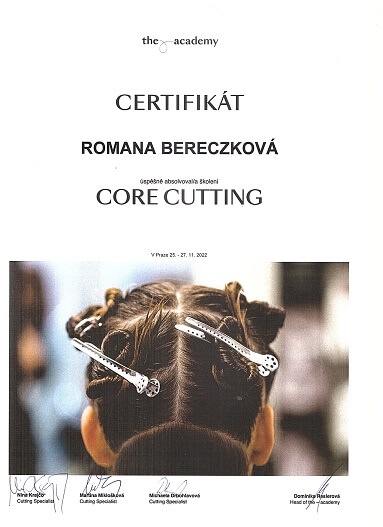 The Accademy - Core cutting - 25.11.2022 - 27.11.2022
